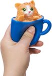 SCHYLLING POP A Chino Kitties